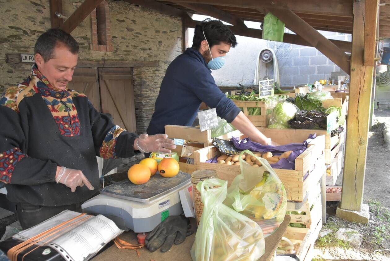 PRODUCTEURS LOCAUX ferme vente